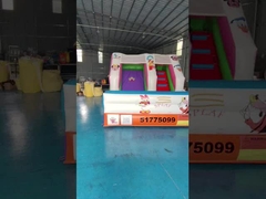 Tarpaulin 4x3m kommerzielle aufblasbare Wasserrutschen aufblasbare Sprungburg Seidendruck
