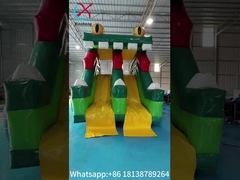 Neues Design aufblasbare Rutsche Froschfigur aufblasbare hohe doppelte Rutschen Trockene Rutsche für Kinder und Erwachsene