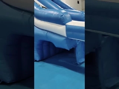 Gewerblicher Outdoor-Riese aufblasbare Wasserrutsche Krake Zeichentrickfilm aufblasbare Wasserrutsche