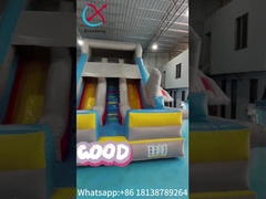 Kommerzielle aufblasbare Trockenrutsche Flugzeugmodell Doppelslide Aufblaserburg für Kinder und Erwachsene