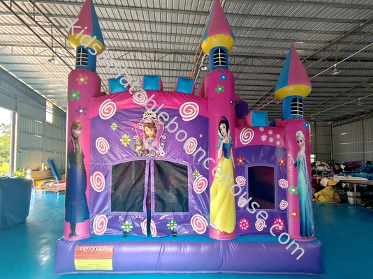 Kommerzielles neues Design aufblasbares Schloss Disney Prinzessin Karikatur aufblasbares Sprunghaus mit Rutsche lustiges Sprunghaus